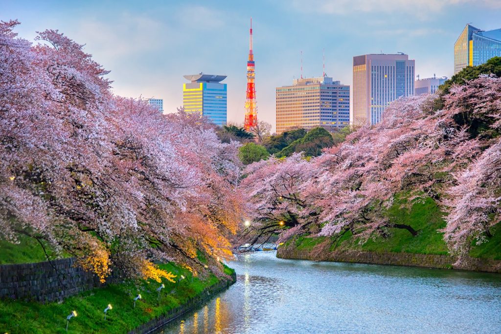 Япония: 5 главных причин почему в восточной стране живут долго и счастливо