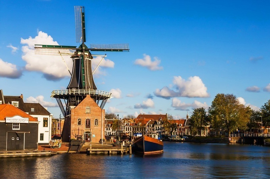 Нидерланды: 3 главные причины почему маленькая страна продает большое количество продовольствия другим государствам